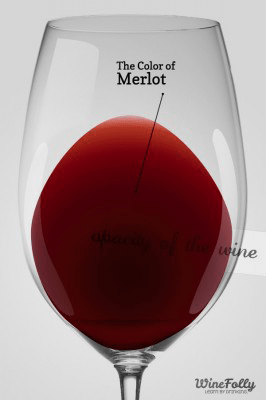 五分鐘喝懂葡萄品種 - 美洛(Merlot)，波爾多的大眾情人？