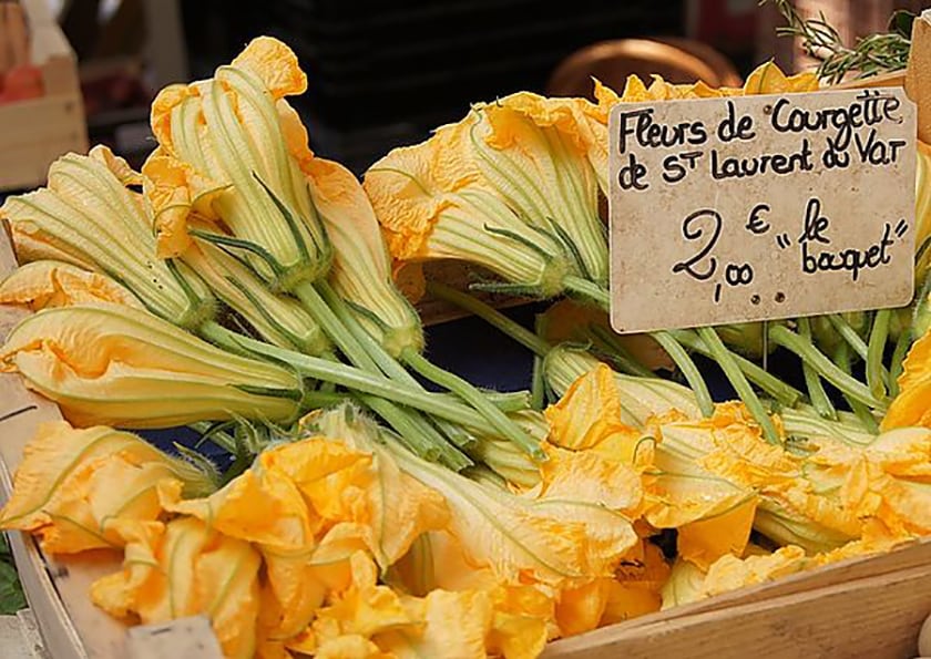 【忠道的巴黎小站】 地中海寫真蔬菜 - 節瓜