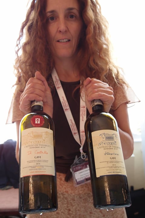 隱藏版的義大利酒節 - 梅拉諾葡萄酒節Merano Wine Festival 2015