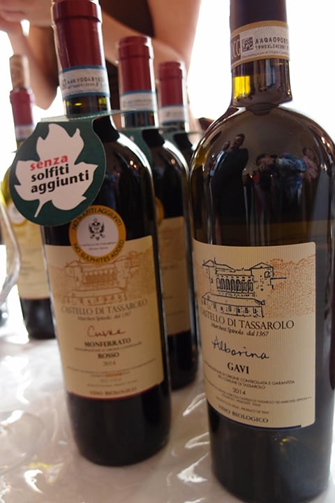 隱藏版的義大利酒節 - 梅拉諾葡萄酒節Merano Wine Festival 2015