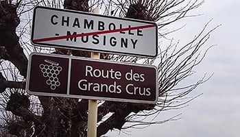 孕育勃根地的頂級之路- Route des Grands Crus照片集
