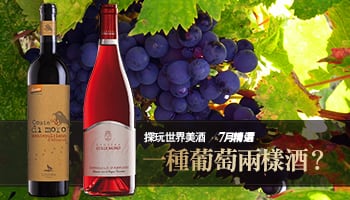 【Wine Club精選】一種葡萄兩樣酒？中義的2種風貌