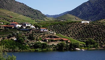 【酒鄉旅遊】從葡萄酒、住宿到美食 - 葡萄牙的斗羅河（二） 