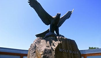 【酒莊探訪】巴羅薩谷的雄鷹 - 澳洲Wolf Blass